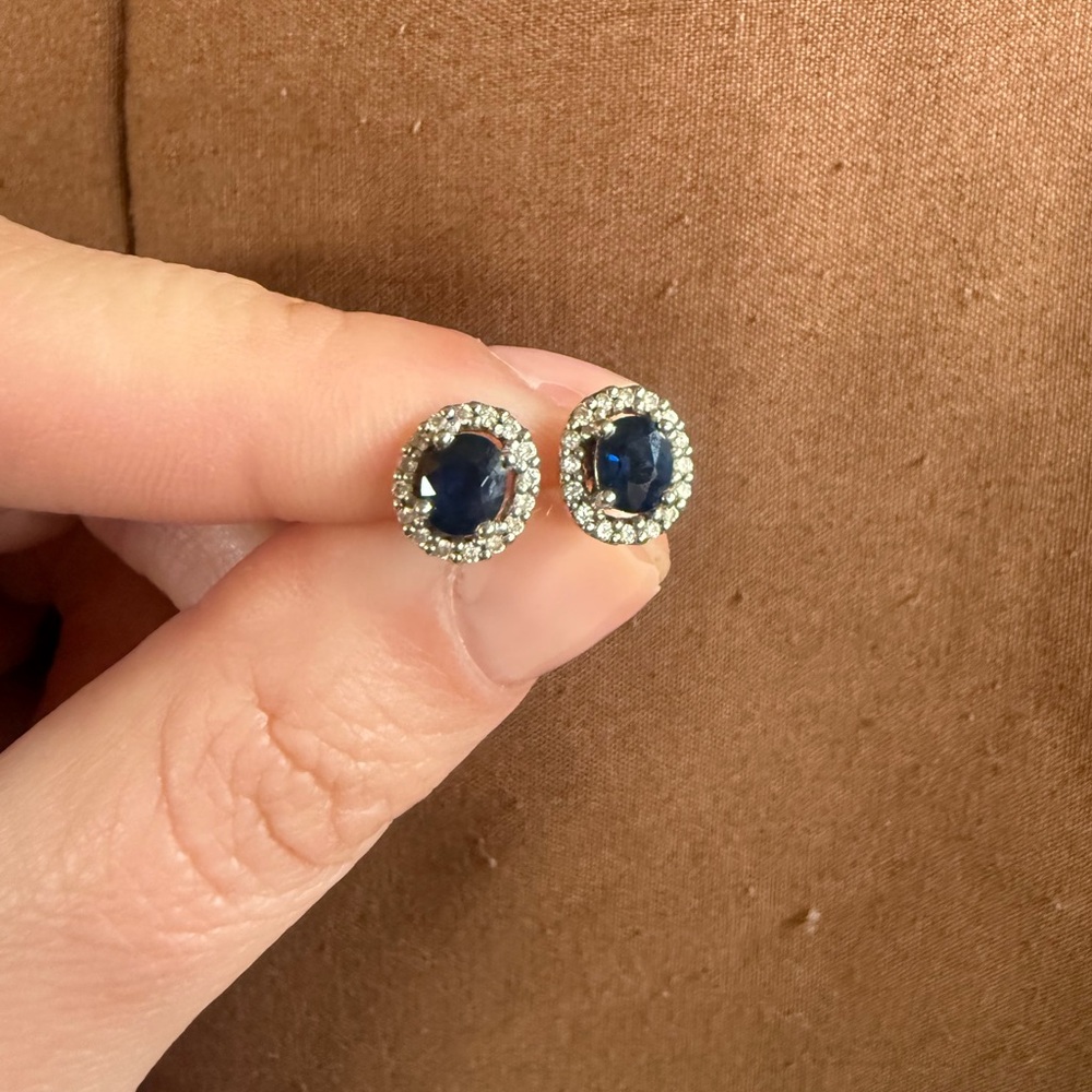 Elegant Silver and Blue Stud Earrings